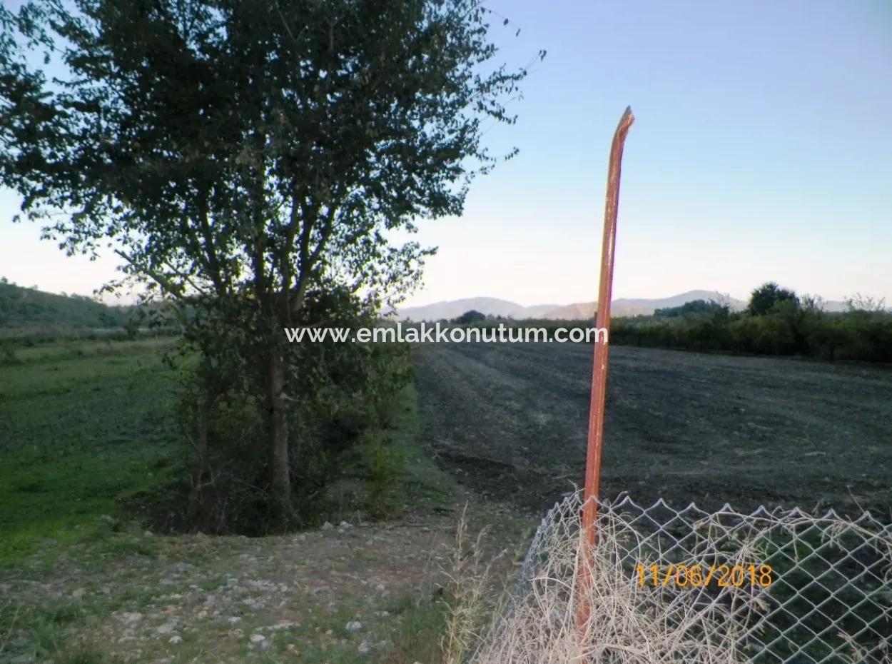 Bauernhof Zum Verkauf In Oriya Yeşilyurt