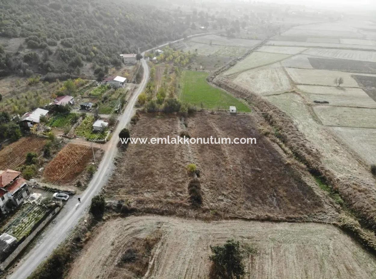 5 000 M2 Freistehende Eigentumsurkunde, Die Zum Verkauf In Çameli Belevide Geeignet Ist Schnäppchenfeld Zum Verkauf