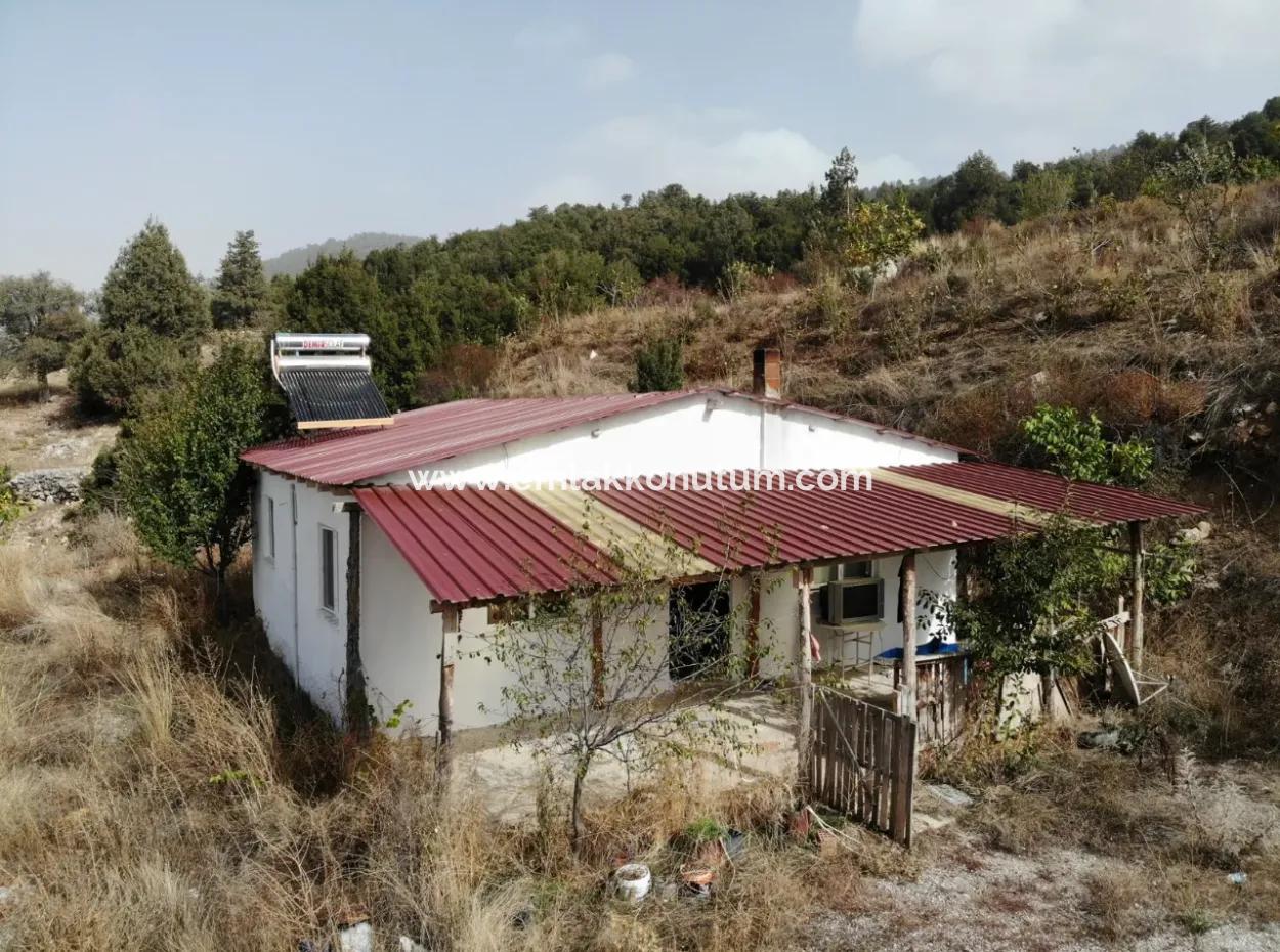 5 000 M2 Grundstück In Çameli Kızılyaka 2 In 1 Einfamilienhaus Und Scheune Zu Vermieten