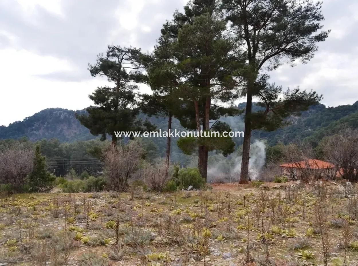 Zum Verkauf Schnäppchen Land In Fethiye Ta Sty