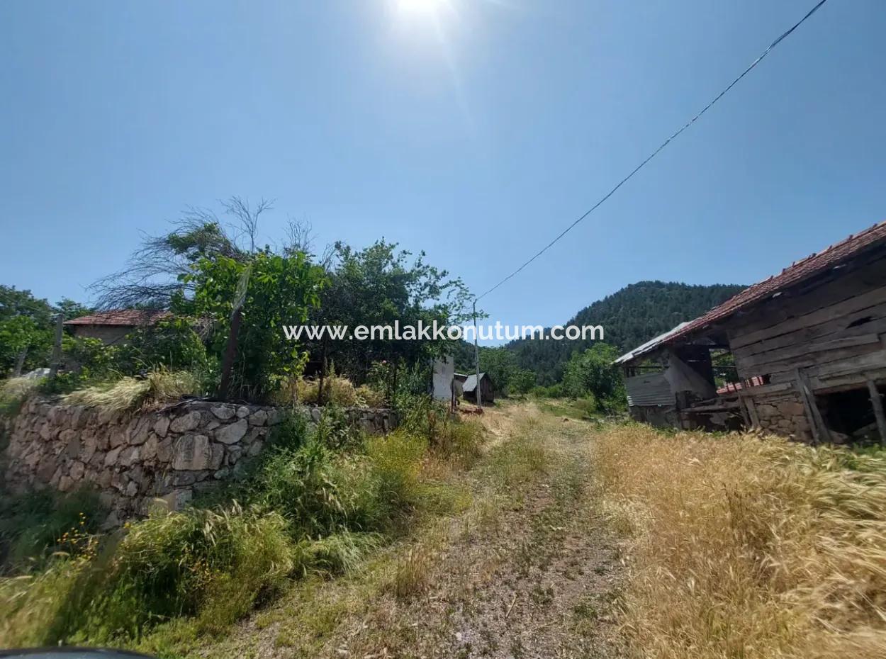 2500 M2 Freistehende 2 Häuser Und Scheunen, Lager Zum Verkauf In Çameli Kızılyaka