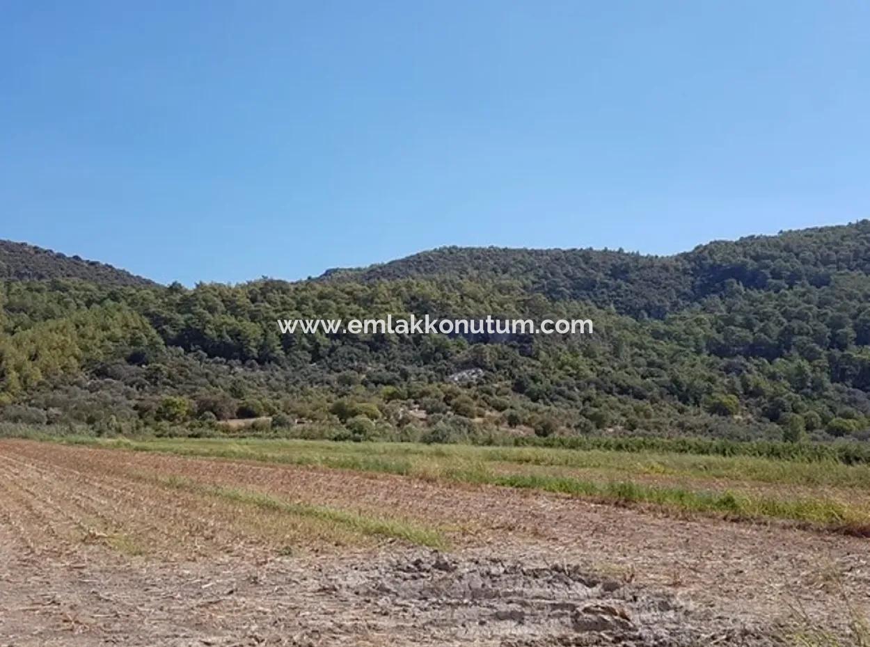 Fruchtbares Land Zum Verkauf In Famagusta Schnäppchen