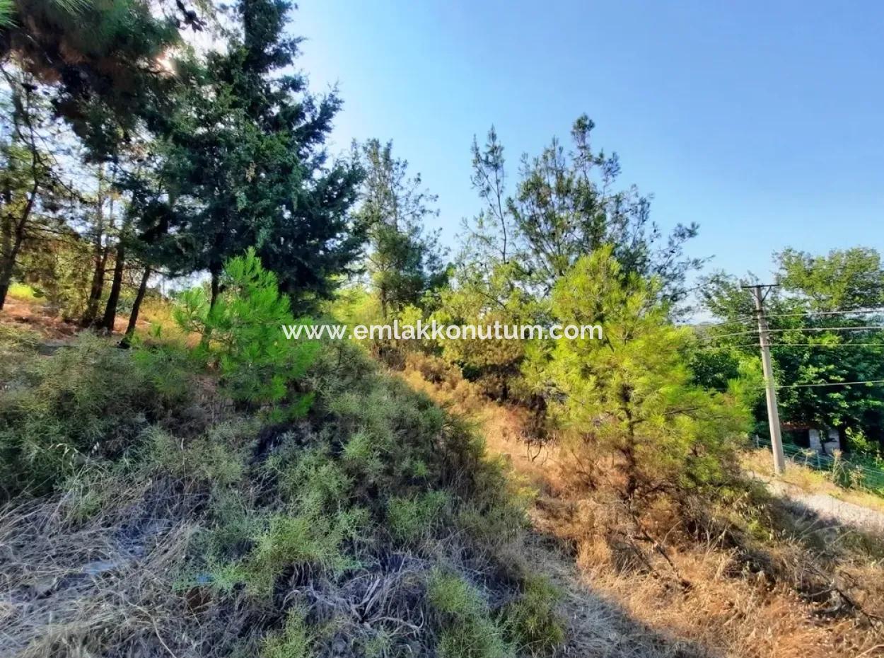 Grundstück Mit Meerblick Zum Verkauf In Fethiye Ciftlikkoy