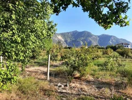 Grundstück Geeignet Für Investitionen Zum Verkauf In Mugla Dalyan Marmarlı