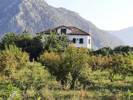 Grundstück Geeignet Für Investitionen Zum Verkauf In Mugla Dalyan Marmarlı