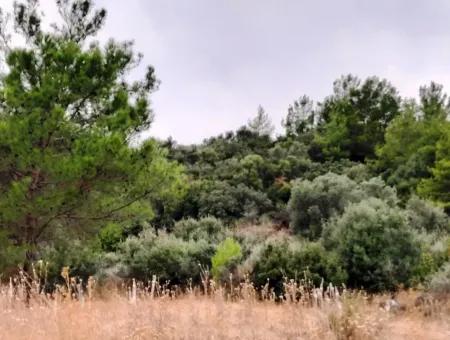 Mugla Ortaca Sar-Germe 880 M2 Voll Meer Und Natur Blick Grundstück Zu Verkaufen