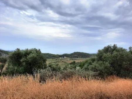 Plots Mit Meerblick Zum Verkauf In Sarigerme, Muğla