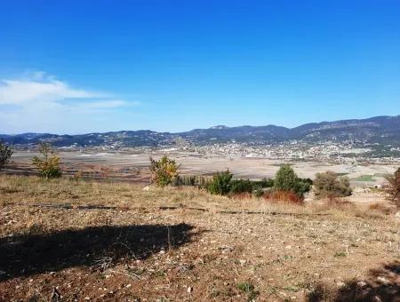 Denizli Çameli Kizilyaka Schmetterling Land Und Dorfhaus Mit Hundeblick Zum Verkauf