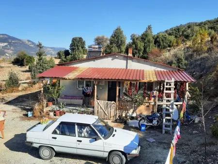 Denizli Çameli Kizilyaka Schmetterling Land Und Dorfhaus Mit Hundeblick Zum Verkauf