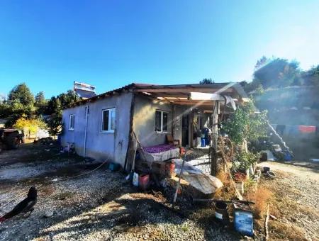 Denizli Çameli Kizilyaka Schmetterling Land Und Dorfhaus Mit Hundeblick Zum Verkauf