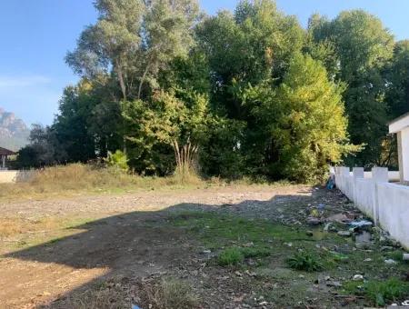500 M2 Kelepir Land Zu Verkaufen In Köyce'inz Yangı