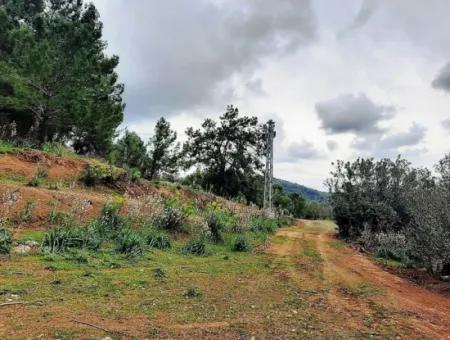 Dalyan Gökbel 13.100 M2 Acker Zum Verkauf In Der Natur