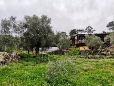 Freistehendes Dorfhaus In Der Natur Zu Verkaufen In Fethiye Gocek Ta'basi