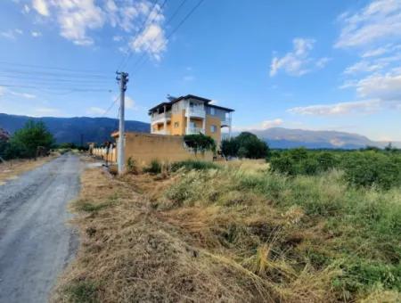 3500 M2 Orangen- Und Mandarinengarten Zum Verkauf In Köyceğiz Toparlar