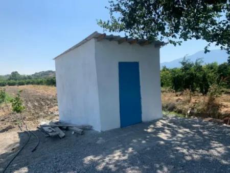 7300 M2 Zitronenfeld Zum Verkauf In Mugla Ortaca Tepearasi