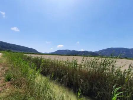 Fruchtbares Land Zu Vermieten In Ortaca Güzelyurt