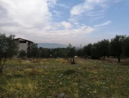 2788 M2 Feld Mit Seeblick Zu Verkaufen In Mugla Köyceğiz Zeytinalanı