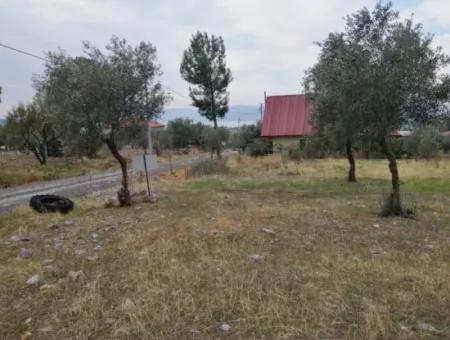 2788 M2 Feld Mit Seeblick Zu Verkaufen In Mugla Köyceğiz Zeytinalanı