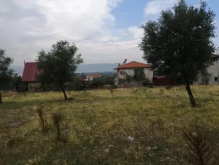 2788 M2 Feld Mit Seeblick Zu Verkaufen In Mugla Köyceğiz Zeytinalanı