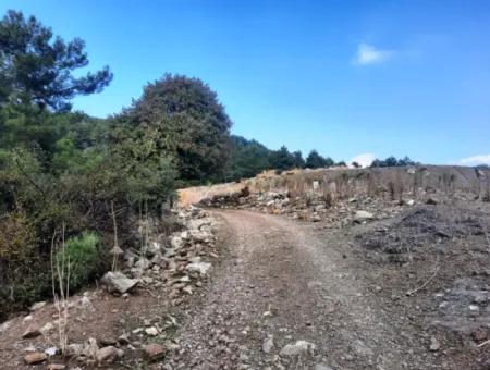 Mugla Dalyan Gökbel 320 M2 Schnäppchengrundstück Zum Verkauf