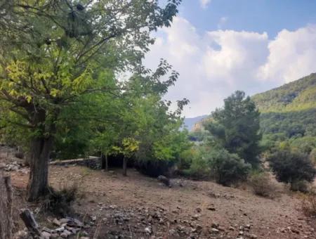 Mugla Dalyan Gökbel 320 M2 Schnäppchengrundstück Zum Verkauf