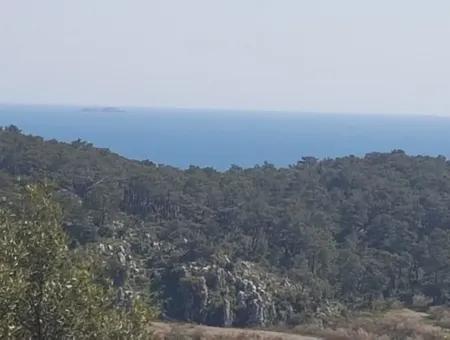 Grundstück Mit Meer Blick Zu Verkaufen Schnäppchen Ortaca Sarıgerme