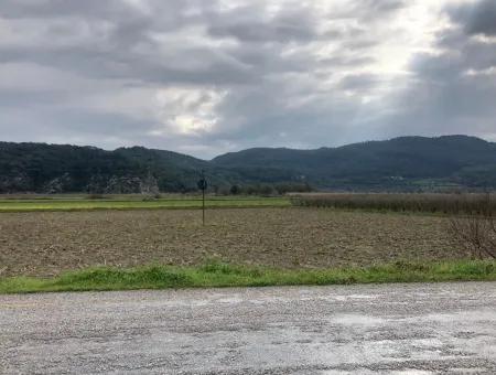 Ortaca Güzelyurt Zum Verkauf Auf Der Hauptstraße Null Feld