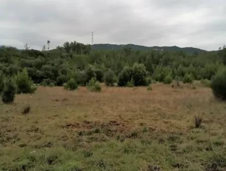 30949 M2 Fruchtbares Feld Zu Verkaufen In Mugla Dalaman Gürleyik