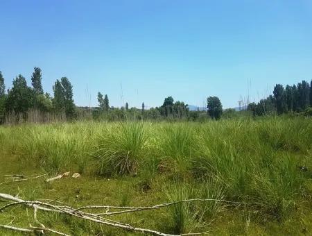 3700 M2 Land Für Verkauf In Koycegiz