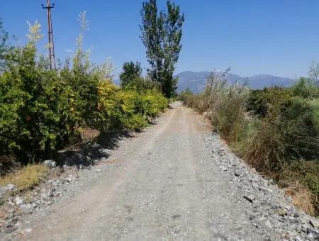 Granatapfelgarten Zum Verkauf In Mugla Ortaca Tepearasi