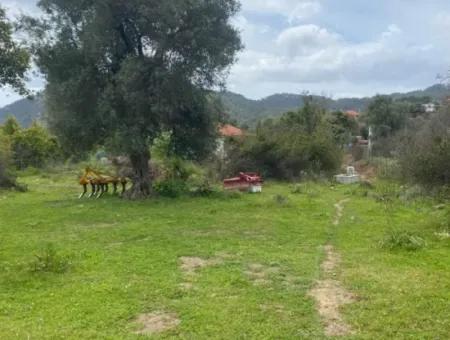 541 M2 Freistehendes Grundstück Zum Verkauf In Çandır, Muğla Köyceğiz