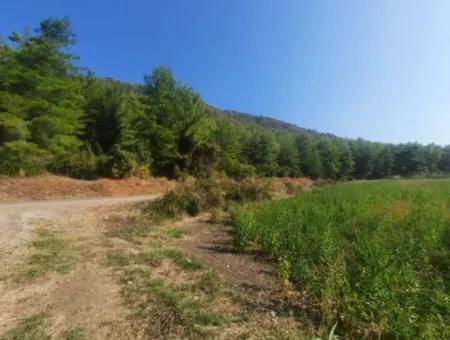 16.373 M2 Fruchtbares Land Zum Verkauf In Muğla Ortaca Ekşiliyurt