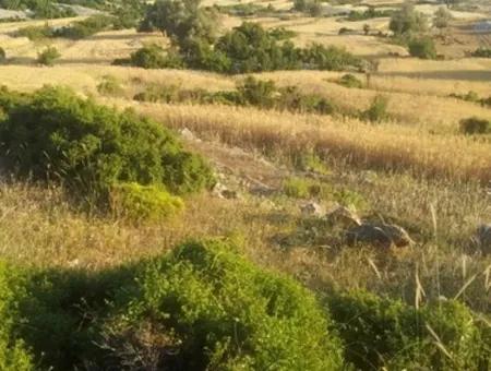 Grundstück Mit Meerblick Zum Verkauf In Boğaziçi Seydikemer