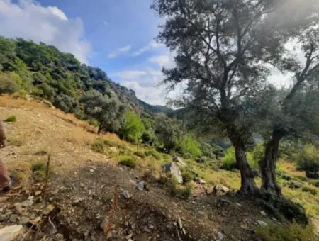 Muğla Dalyan Gökbelde 7 270 M2 Freistehende Eigentumsurkunde Land Mit Meer- Und Seeblick Zum Verkauf