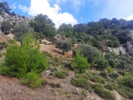 Muğla Dalyan Gökbelde 7 270 M2 Freistehende Eigentumsurkunde Land Mit Meer- Und Seeblick Zum Verkauf