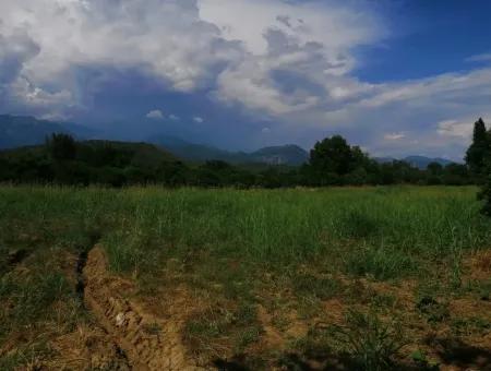 Bauernhof Zum Verkauf In Köyceğiz Beyoba Schnäppchen