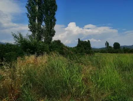 Bauernhof Zum Verkauf In Köyceğiz Beyoba Schnäppchen