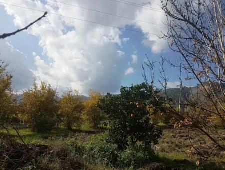 Freistehendes Haus Im Dorf Zum Verkauf In Ta Yeşilyurt