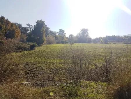 Auch Dogusbelen Null Von Der Hauptstraße, Grundstücke Zum Verkauf