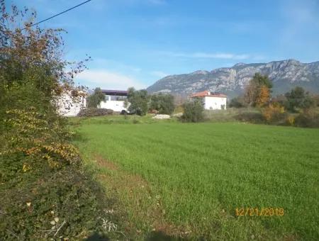 Land Zum Verkauf In Bargain Detached Zeytinalani