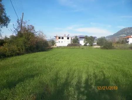 Land Zum Verkauf In Bargain Detached Zeytinalani