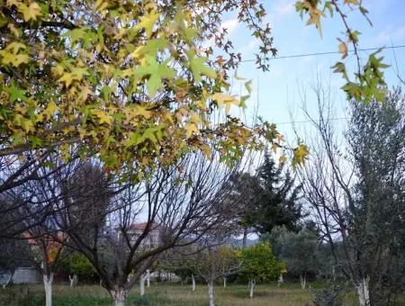 Freistehende Duplex Mit Seeblick Zum Verkauf An Zeytinalani