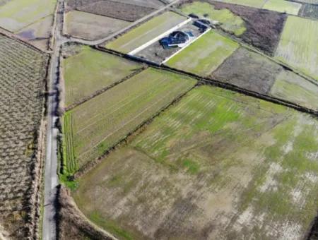 Felder, Die Für Eine Genossenschaft In Ortaca Güzelyurt Geeignet Sind, Stehen Zum Verkauf