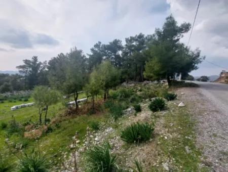 3.500 M2 Freistehendes Grundstück Mit Meerblick Zum Verkauf In Dalaman Gürköy