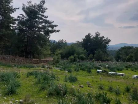 3.500 M2 Freistehendes Grundstück Mit Meerblick Zum Verkauf In Dalaman Gürköy