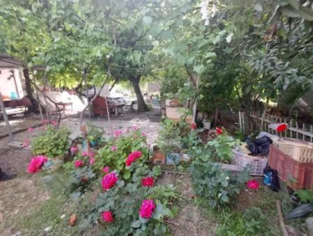 50 M2 Lager Zum Verkauf Auf 170 M2 Grundstück Mit Nummerierung In Ortaca Kemaliye