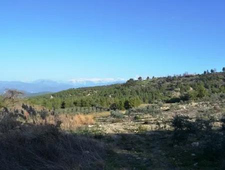 Wertvolle Waterfront Land Zum Verkauf In Tlos Fethiye Kragen