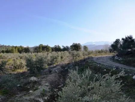 Wertvolle Waterfront Land Zum Verkauf In Tlos Fethiye Kragen