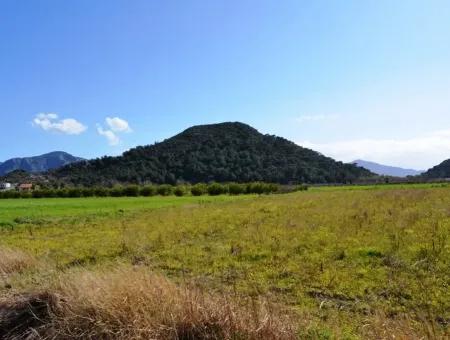 Bauernhof Zum Verkauf Schnäppchen In Dalyan