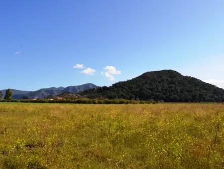 Bauernhof Zum Verkauf Schnäppchen In Dalyan